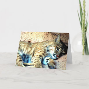 Tarjeta de felicitación Bobcat Habitat