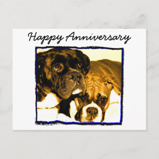 Tarjeta de felicitación Boxer de Feliz Aniversario