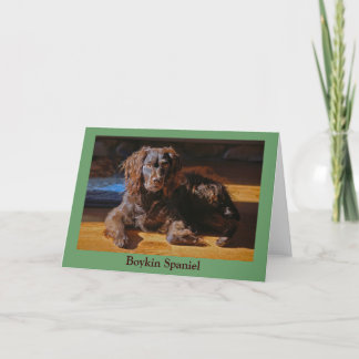 Tarjeta de felicitación Boykin Spaniel