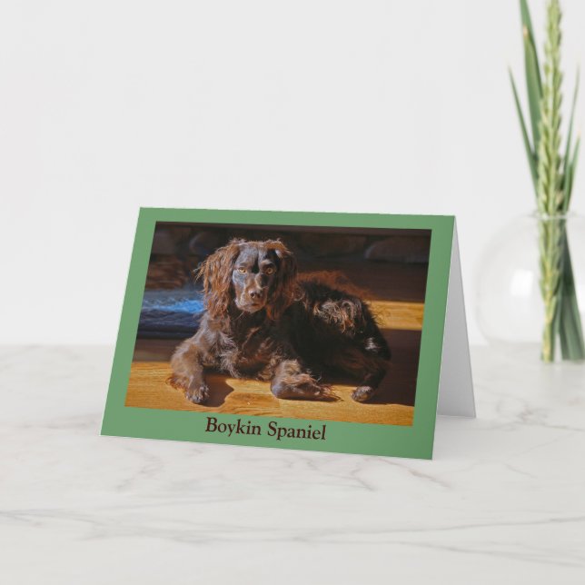 Tarjeta de felicitación Boykin Spaniel (Anverso)