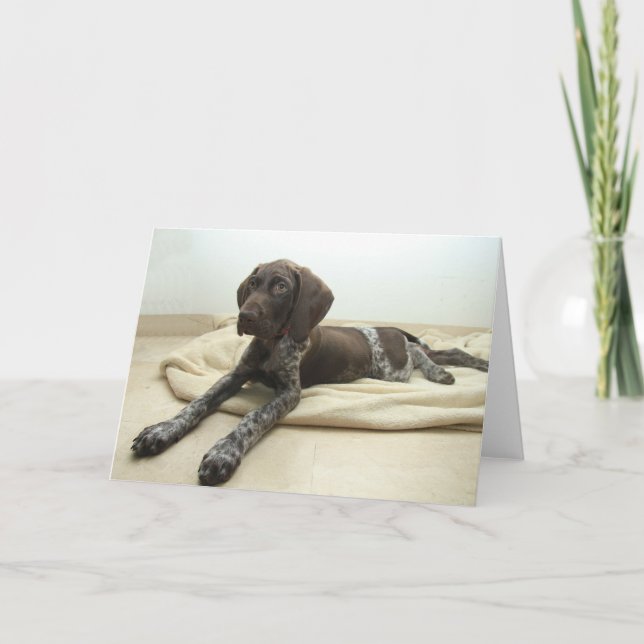 Tarjeta de felicitación brillante del grisáceo (Anverso)