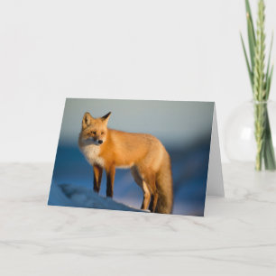 Tarjeta de felicitación Brown Fox