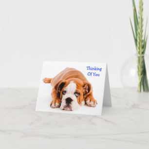 Tarjeta de Felicitación Bulldog Pensando en Ti