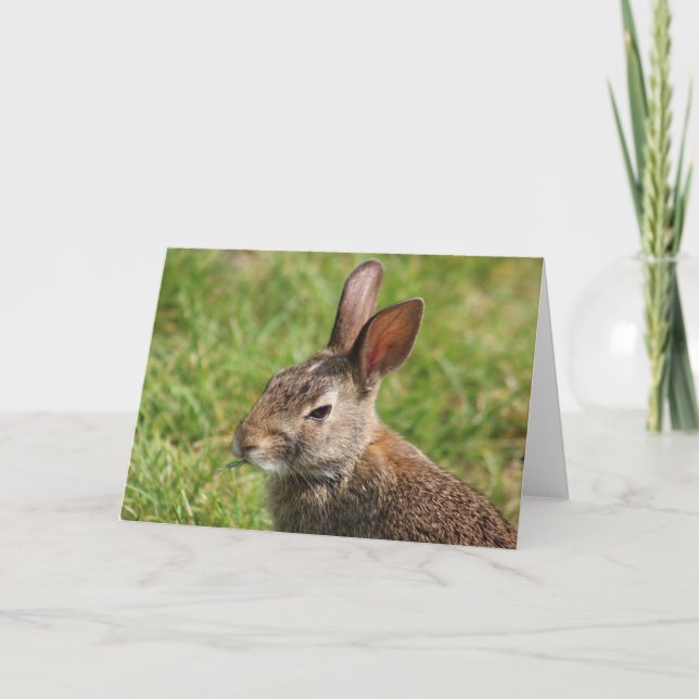 Tarjeta de felicitación Bunny (Anverso)