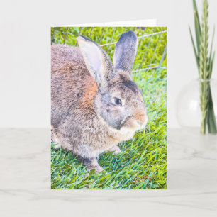 Tarjeta de felicitación Bunny Blank