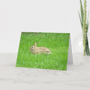 Tarjeta de felicitación Bunny Rabbit (Green Grass)