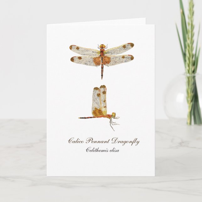 Tarjeta de felicitación Calico Pennant Dragonfly (Anverso)