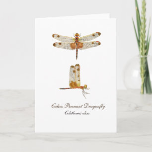 Tarjeta de felicitación Calico Pennant Dragonfly