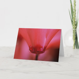 Tarjeta de felicitación caliente rosada
