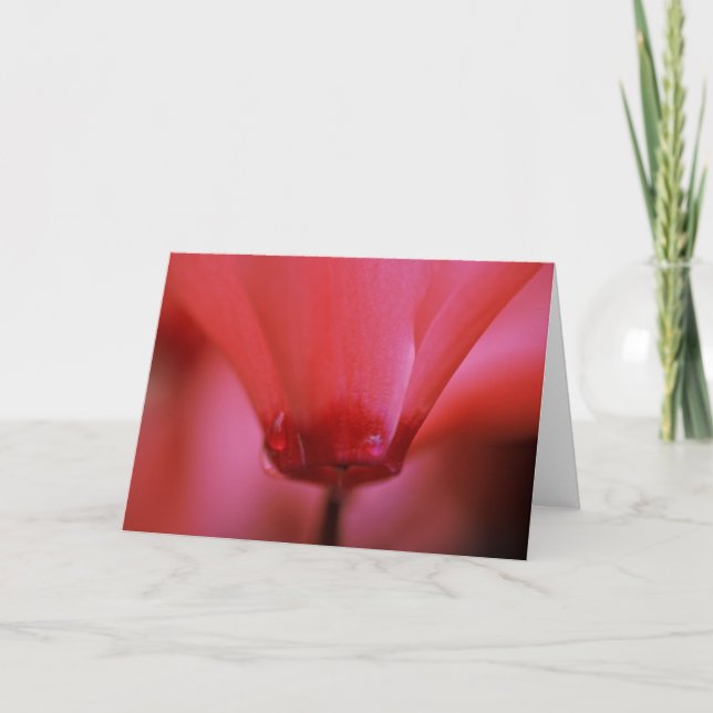 Tarjeta de felicitación caliente rosada (Anverso)