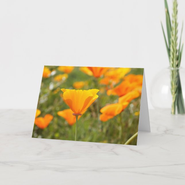 Tarjeta de felicitación californiana Poppy Blank (Anverso)