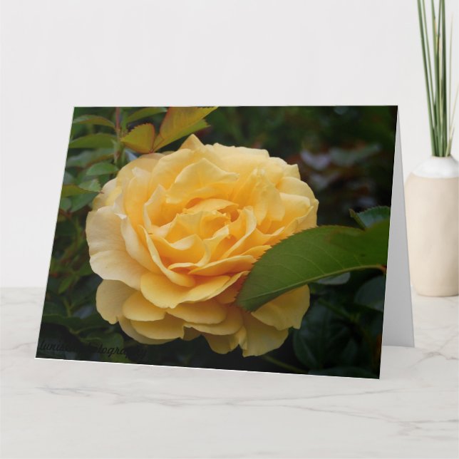 Tarjeta de felicitación:  Camelia amarilla (Anverso)