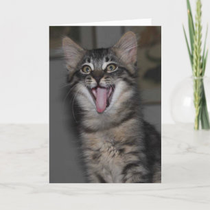 Tarjeta de felicitación Caspian Yawning Kitten Bla