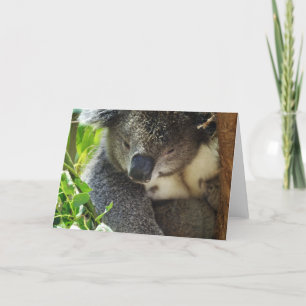 Tarjeta de felicitación Casual Koala