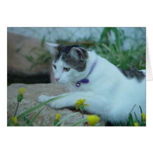 Tarjeta de felicitación Cat Garden Gazing