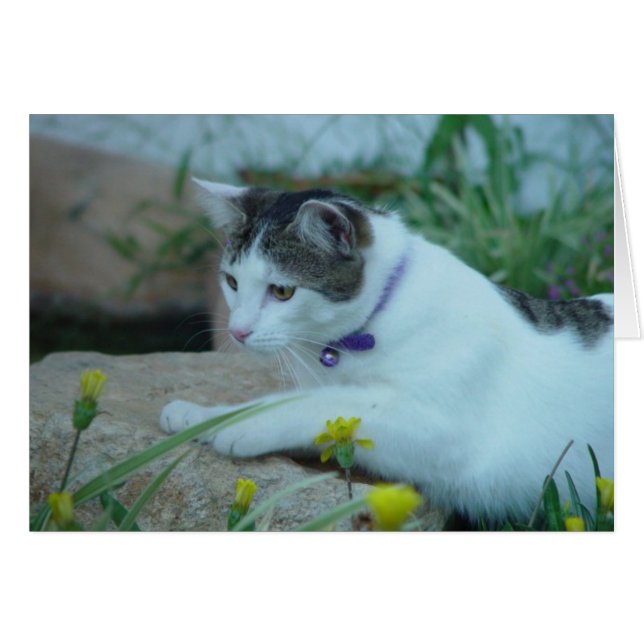 Tarjeta de felicitación Cat Garden Gazing (Anverso (Horizontal))