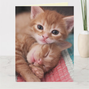 Tarjeta de felicitación CAT ROMÁNTICA SNUGGLING LO