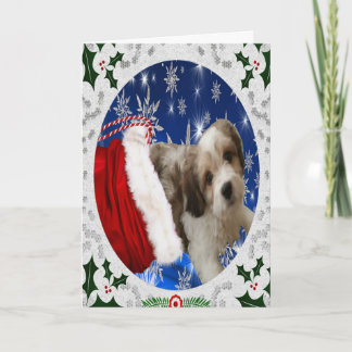 Tarjeta de felicitación Cavachon, perro Navidad
