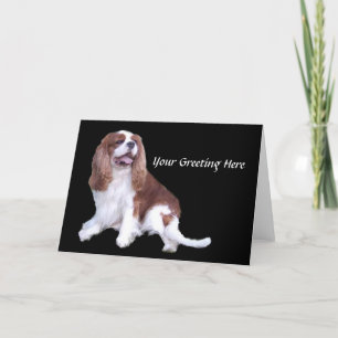 Tarjeta de felicitación Cavalier King Charles Span