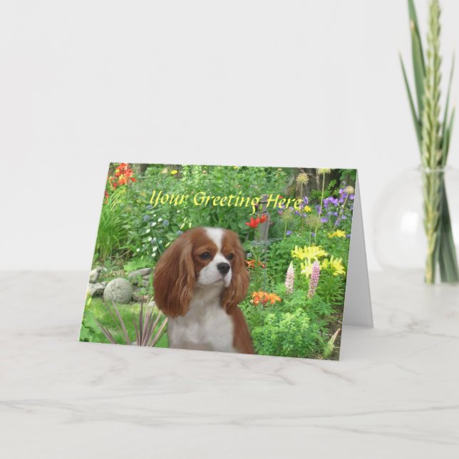 Tarjeta de felicitación Cavalier King Charles Span (Anverso)