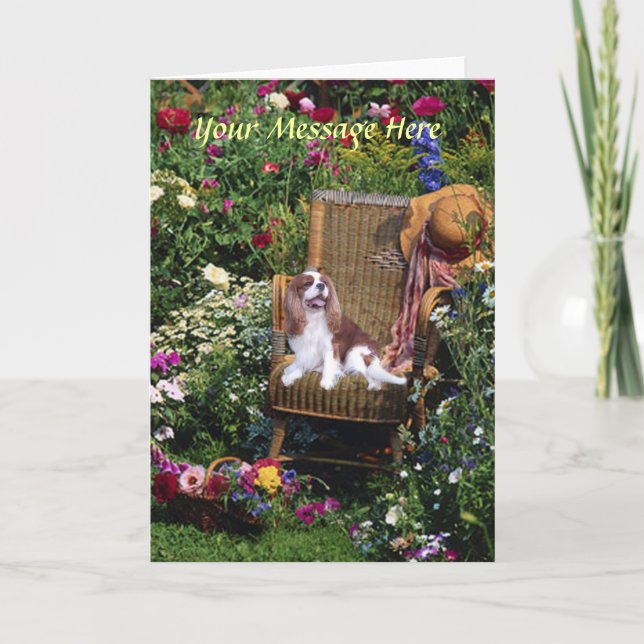 Tarjeta de felicitación Cavalier King Charles Span (Anverso)