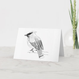 Tarjeta de felicitación Cedar Waxwing Blank