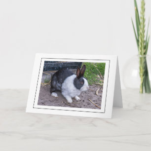Tarjeta de felicitación cercana para conejo conejo