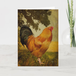 Tarjeta de felicitación Chanticleer Rooster Blank