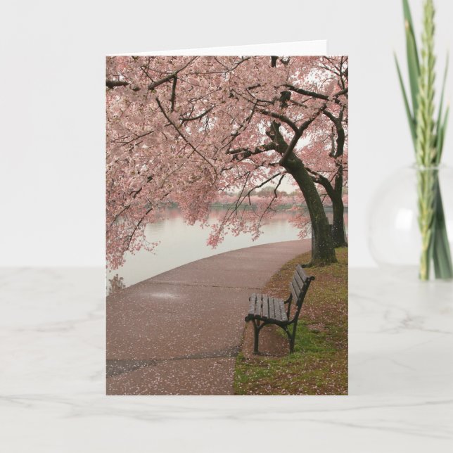 Tarjeta de felicitación Cherry Blossom (Anverso)