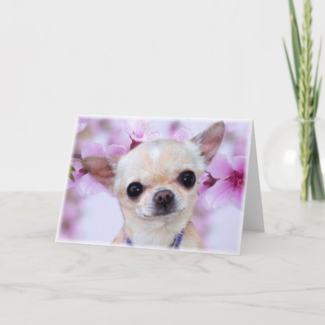 Tarjeta de felicitación Chihuahua (Anverso)