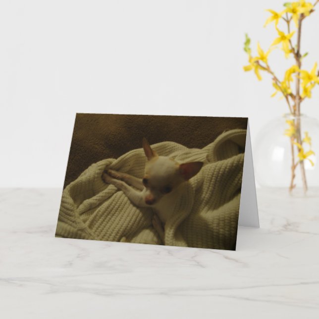 Tarjeta de felicitación Chihuahua Puppy (flor amarilla)