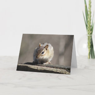 Tarjeta de felicitación Chipmunk