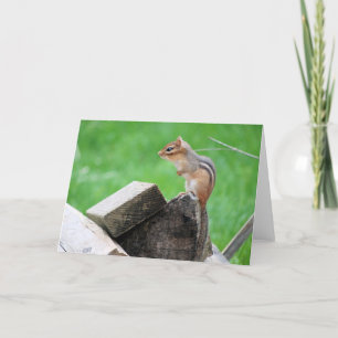 Tarjeta de felicitación Chipmunk