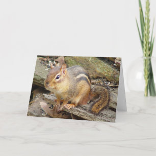 Tarjeta de felicitación Chipmunk 2
