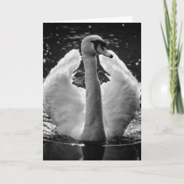 Tarjeta de felicitación - Cisne de foto en blanco