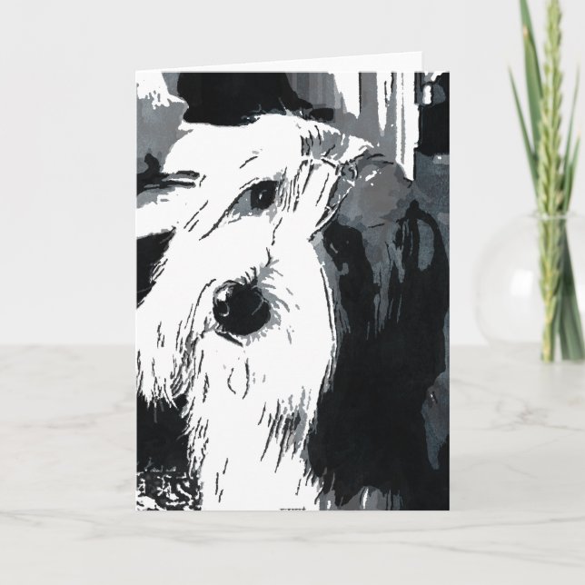 Tarjeta de felicitación Collie con barba (Anverso)