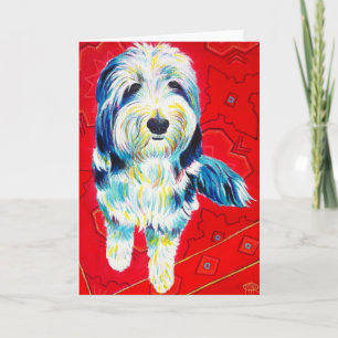 Tarjeta de felicitación Collie con barba, sobres i