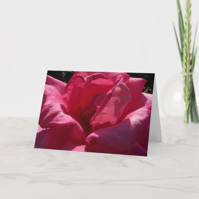 Tarjeta de felicitación color de rosa en blanco (Anverso)