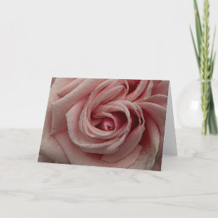 Tarjeta de felicitación color de rosa rosada