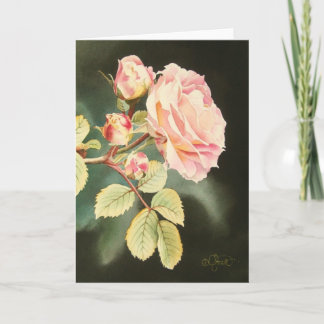 Tarjeta de felicitación color de rosa rosada suave