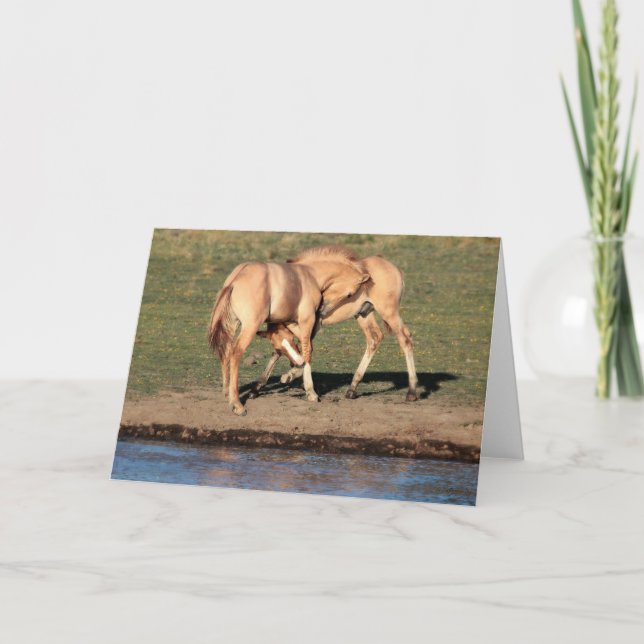 Tarjeta de felicitación Colt Play (Anverso)