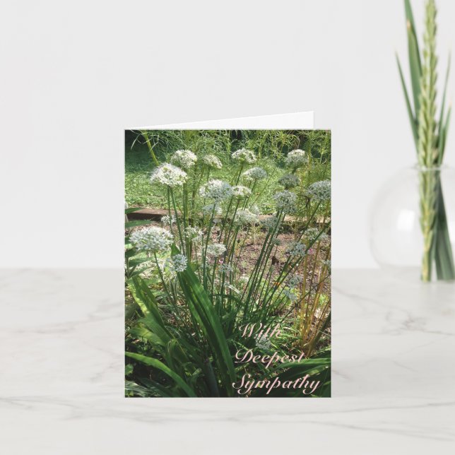 Tarjeta de felicitación - Compasión (Anverso)