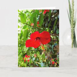 Tarjeta de felicitación con cubierta de flor roja