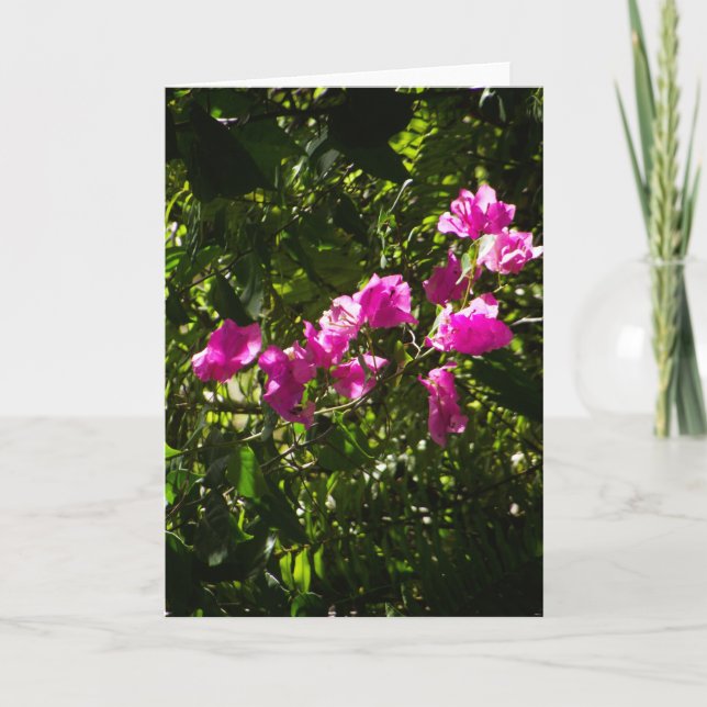 Tarjeta de felicitación con cubierta floral rosa (Anverso)