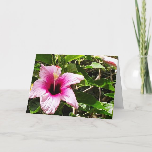 Tarjeta de felicitación con cubierta floral rosa (Anverso)
