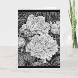 Tarjeta de felicitación con dibujo de peonías blan