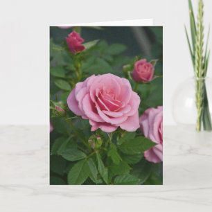 Tarjeta de felicitación con estampado de rosas ros