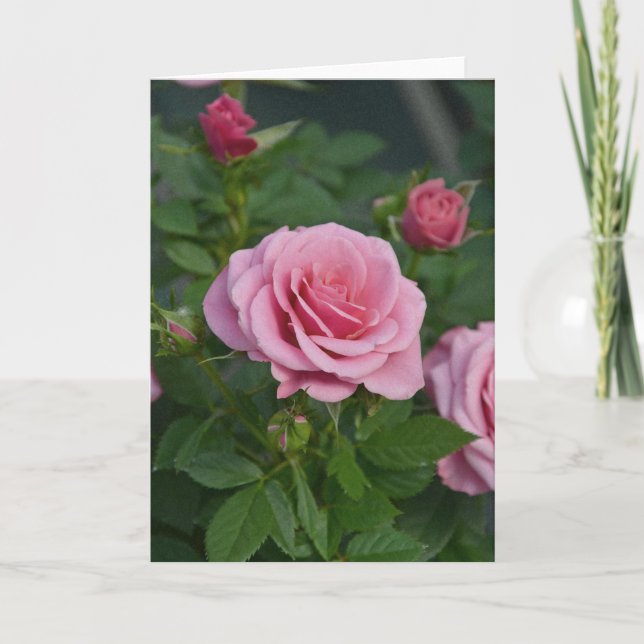 Tarjeta de felicitación con estampado de rosas ros (Anverso)