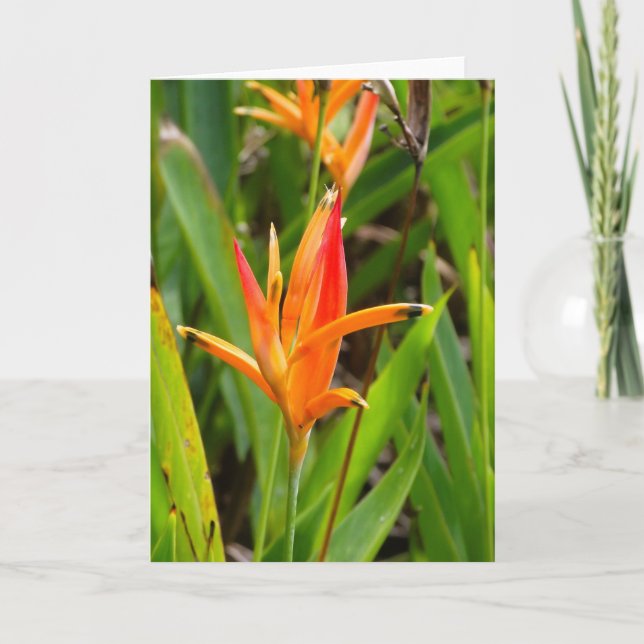 Tarjeta de felicitación con flores naranjas en la  (Anverso)