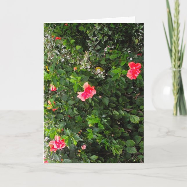 Tarjeta de felicitación con flores rosas (Anverso)